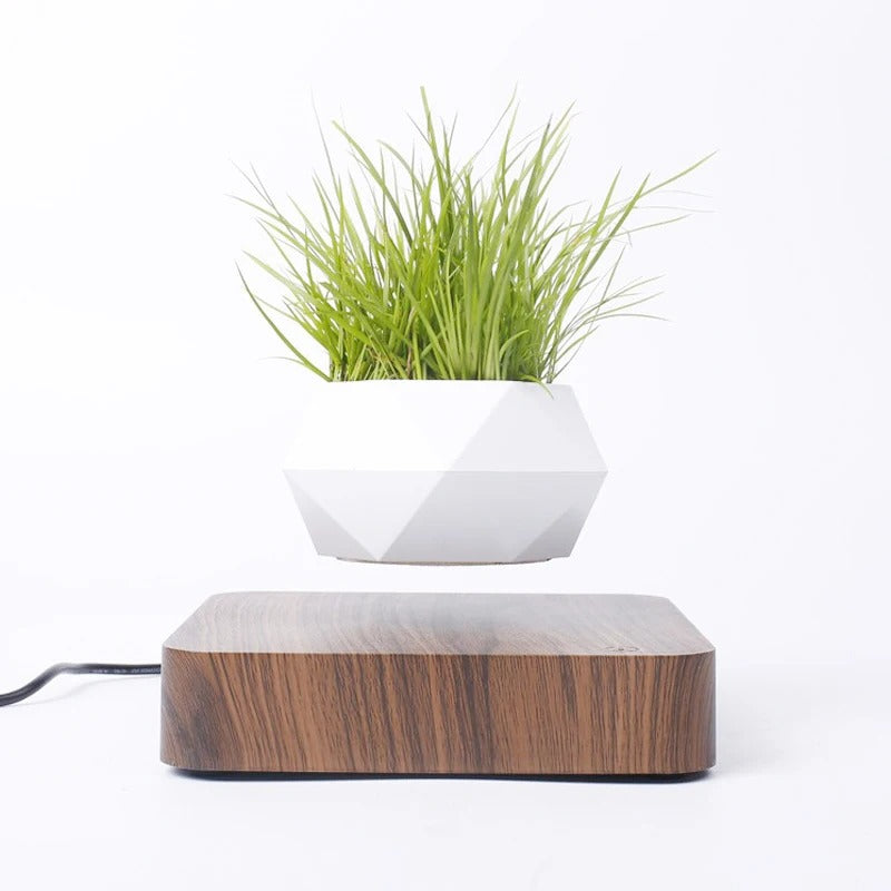 FLOATING POT WITH MAGNETIC LEVITATION – MODERN TECHNOLOGICAL DESIGN