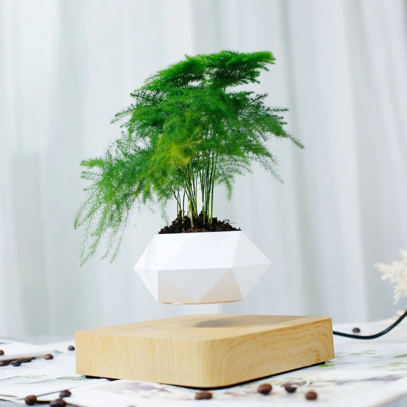 FLOATING POT WITH MAGNETIC LEVITATION – MODERN TECHNOLOGICAL DESIGN