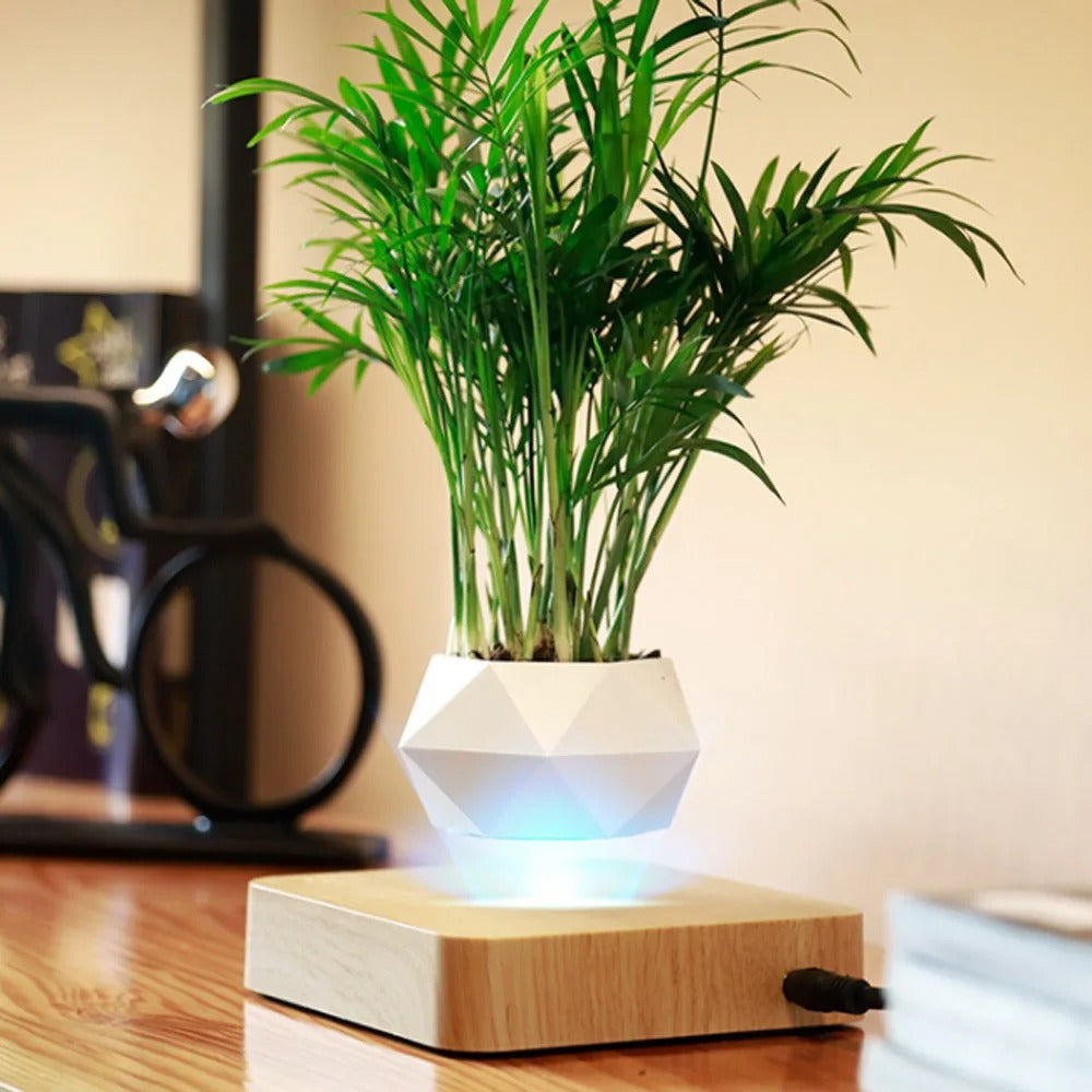 FLOATING POT WITH MAGNETIC LEVITATION – MODERN TECHNOLOGICAL DESIGN