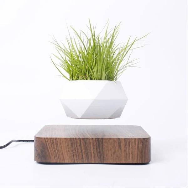 FLOATING POT WITH MAGNETIC LEVITATION – MODERN TECHNOLOGICAL DESIGN