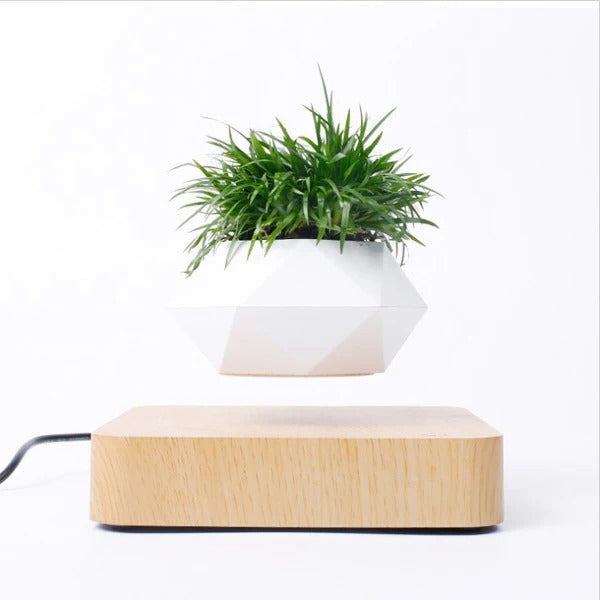 FLOATING POT WITH MAGNETIC LEVITATION – MODERN TECHNOLOGICAL DESIGN